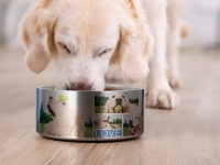 Sublimation 64oz/1900ml Stainless Steel Dog Bowl (Silver)