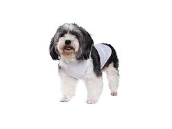 Sublimation Dog Top Tank T-Shirt XS(White)