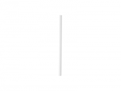 20cm Straight Clear Glass Straw