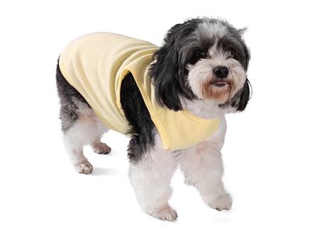 Sublimation Dog Top Tank T-Shirt  XS(Yellow)