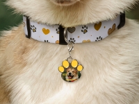 Sublimation Dog Tag Blanks (Yellow Footprint, 3.3*3.5cm)